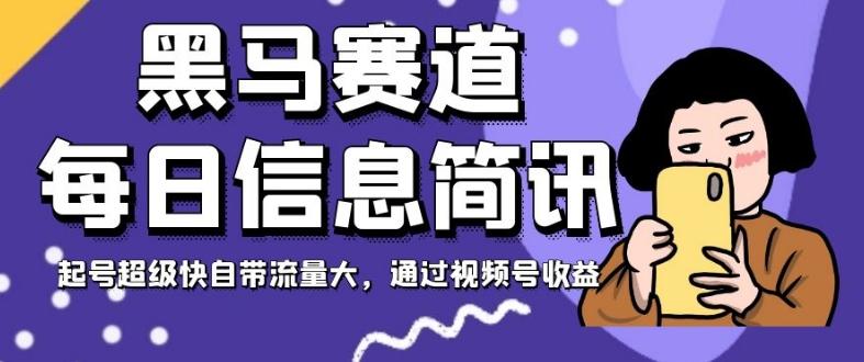 黑马赛道每日信息简讯，起号超级快自带流量大，通过视频号收益【揭秘】-泱泱学习社