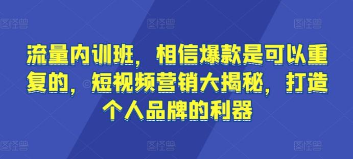 流量内训班，相信爆款是可以重复的，短视频营销大揭秘，打造个人品牌的利器-泱泱学习社