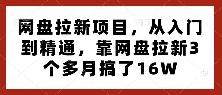 网盘拉新项目，从入门到精通，靠网盘拉新3个多月搞了16W-泱泱学习社