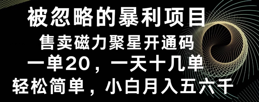 被忽略的暴利项目！售卖磁力聚星开通码，一单20，一天十几单，轻松月入五六千-泱泱学习社