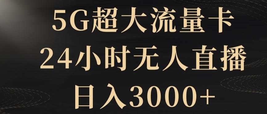5G超大流量卡，24小时无人直播，日入3000+【揭秘】-泱泱学习社