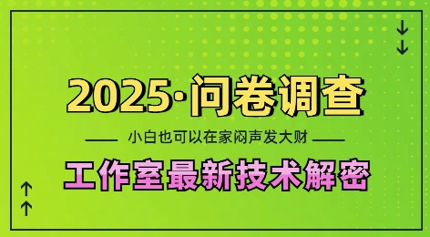 2025问卷调查最新工作室技术解密：一个人在家也可以闷声发大财，小白一天2张，可矩阵放大【揭秘】-泱泱学习社