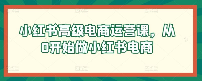 小红书高级电商运营课，从0开始做小红书电商-泱泱学习社
