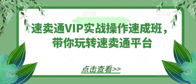 速卖通VIP实战操作速成班，带你玩转速卖通平台-泱泱学习社