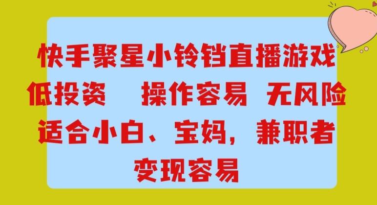快手小铃铛游戏项目，低投入零风险，操作简单变现快-泱泱学习社
