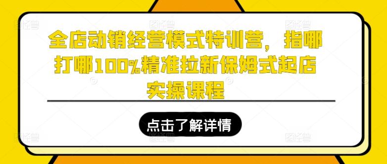 全店动销经营模式特训营，指哪打哪100%精准拉新保姆式起店实操课程-泱泱学习社