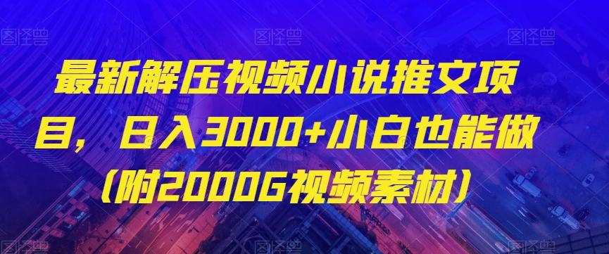 最新解压视频小说推文项目，日入3000+小白也能做（附2000G视频素材）【揭秘】-泱泱学习社
