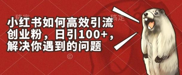 小红书如何高效引流创业粉，日引100+，解决你遇到的问题【揭秘】-泱泱学习社