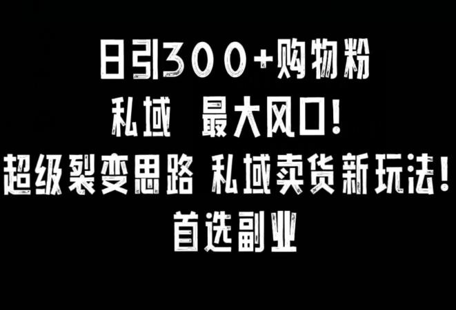 日引300+购物粉，超级裂变思路，私域卖货新玩法，小红书首选副业【揭秘】-泱泱学习社