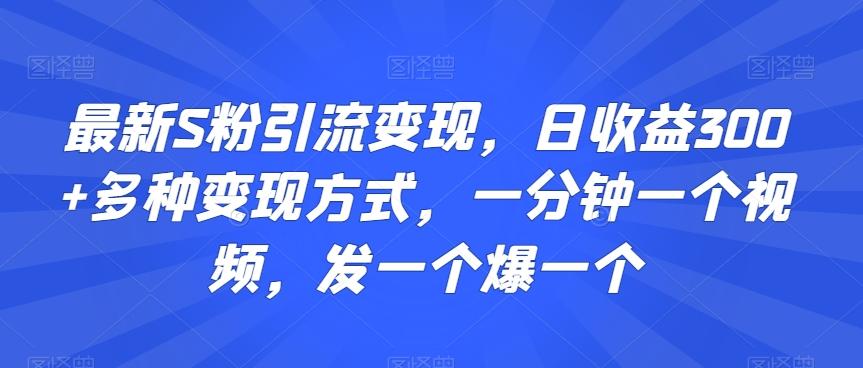 最新S粉引流变现，日收益300+多种变现方式，一分钟一个视频，发一个爆一个【揭秘】-泱泱学习社