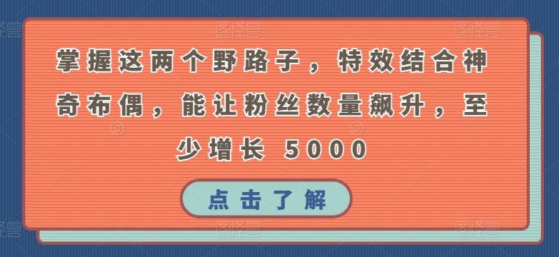 掌握这两个野路子，特效结合神奇布偶，能让粉丝数量飙升，至少增长 5000【揭秘】-泱泱学习社
