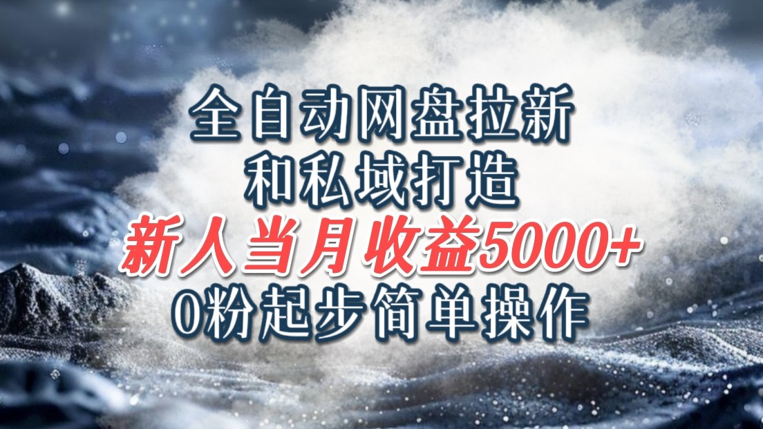 全自动网盘拉新和私域打造，0粉起步简单操作，新人入门当月收益5000以上-泱泱学习社