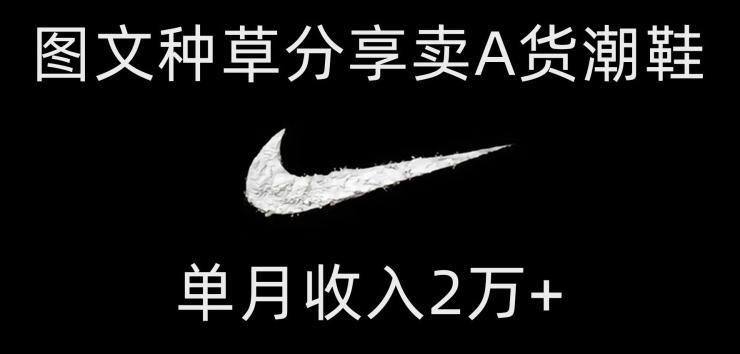 靠图文种草分享卖A货潮鞋，每天一小时，单月收入2万+【揭秘】-泱泱学习社