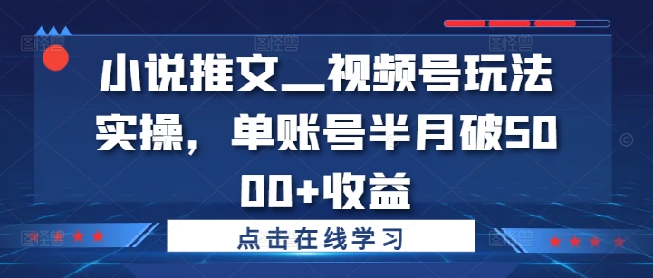 小说推文—视频号玩法实操，单账号半月破5000+收益-泱泱学习社