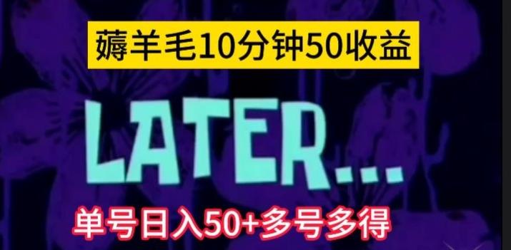 美团薅羊毛玩法，单号日入50+多号多得【仅揭秘】-泱泱学习社