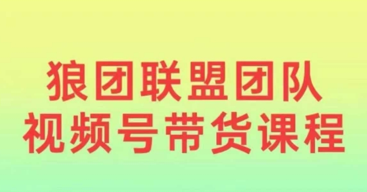 狼团联盟2024视频号带货，0基础小白快速入局视频号-泱泱学习社