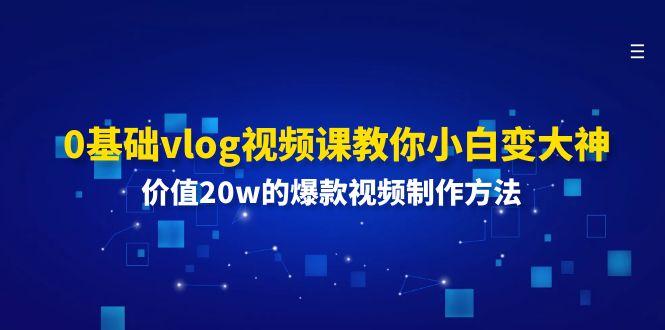 0基础vlog视频课教你小白变大神：价值20w的爆款视频制作方法-泱泱学习社