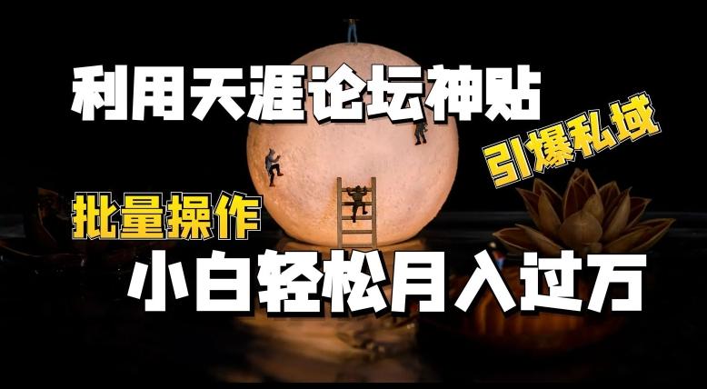 利用天涯论坛神贴，引爆私域，批量操作，小白轻松月入过w【揭秘】-泱泱学习社