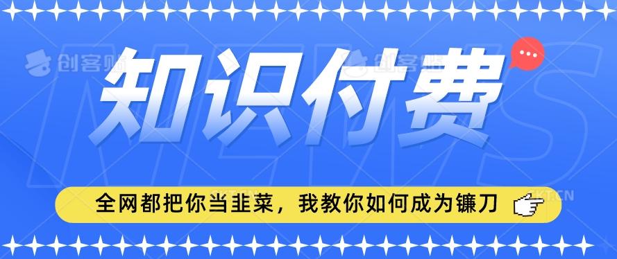 2024最新知识付费项目，小白也能轻松入局，全网都在教你做项目，我教你做镰刀【揭秘】-泱泱学习社