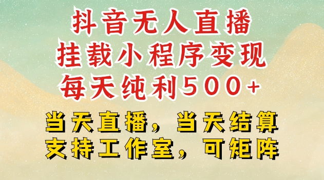抖音无人直播挂载小程序变现每天纯利500+当天直播，当天结算支持工作室，可矩阵【揭秘】-泱泱学习社