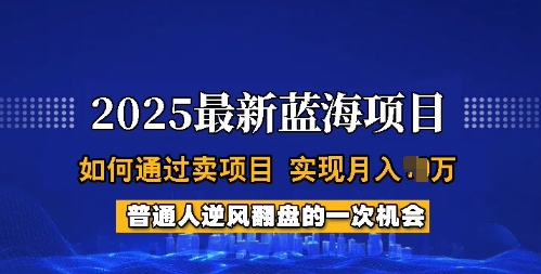 2025蓝海项目，普通人如何通过卖项目，实现月入过W，全过程【揭秘】-泱泱学习社