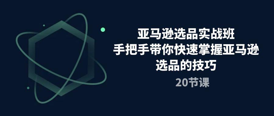 亚马逊选品实战班，手把手带你快速掌握亚马逊选品的技巧(20节课-泱泱学习社