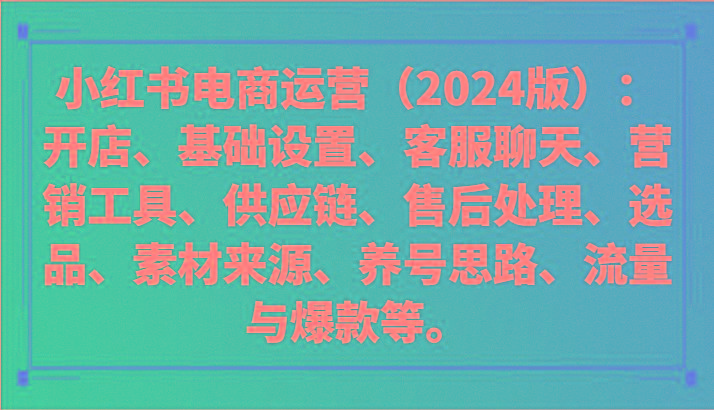 小红书电商运营(2024版)：开店、设置、供应链、选品、素材、养号、流量与爆款等-泱泱学习社