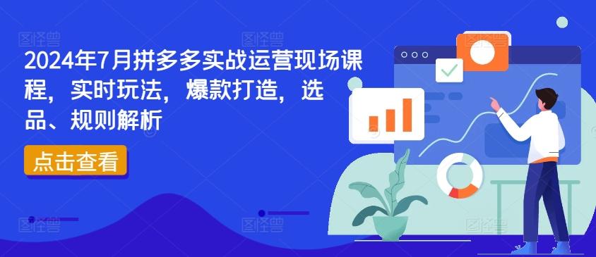 2024年7月拼多多实战运营现场课程，实时玩法，爆款打造，选品、规则解析-泱泱学习社