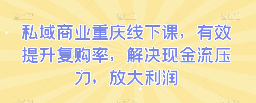 私域商业重庆线下课，有效提升复购率，解决现金流压力，放大利润-泱泱学习社