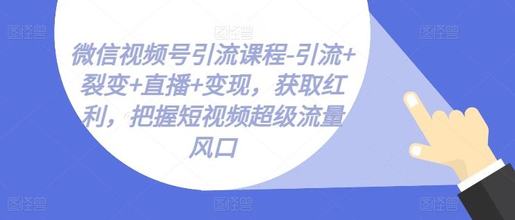 微信视频号引流课程-引流+裂变+直播+变现，获取红利，把握短视频超级流量风口-泱泱学习社