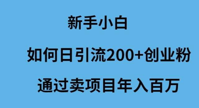 (9668期)新手小白如何日引流200+创业粉通过卖项目年入百万-泱泱学习社