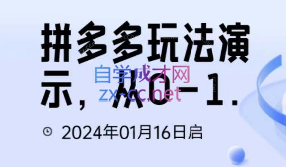 吴老师·拼多多从选品到截流到付费的玩法技巧-泱泱学习社