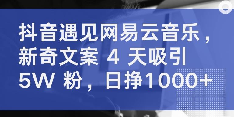 抖音遇见网易云音乐，新奇文案 4 天吸引 5W 粉，日挣1000+【揭秘】-泱泱学习社