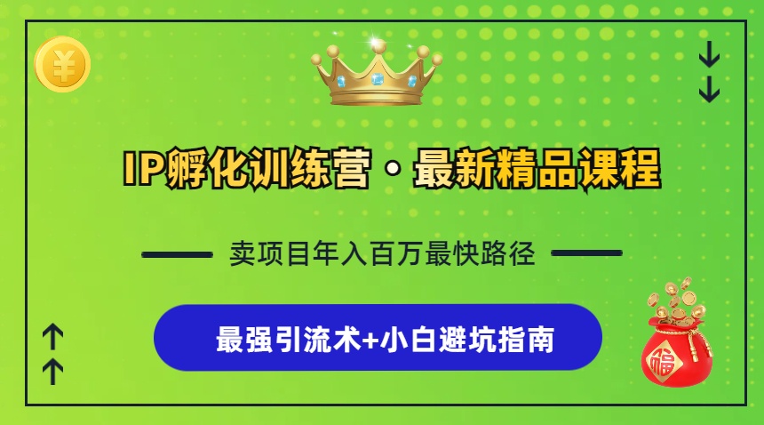 IP孵化训练营，知识付费全流程+最强引流术+小白避坑指南-泱泱学习社