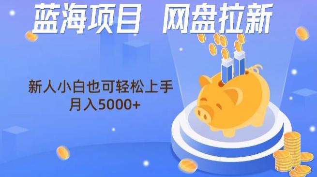 蓝海项目网盘拉新，新人小白也可操作，每月收入5000+-泱泱学习社