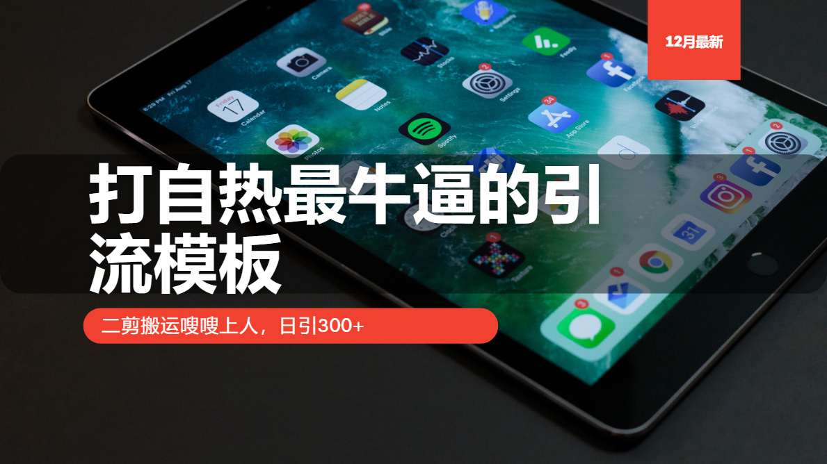 打自热最牛逼的引流模板，二剪搬运嗖嗖上人，日引300+-泱泱学习社