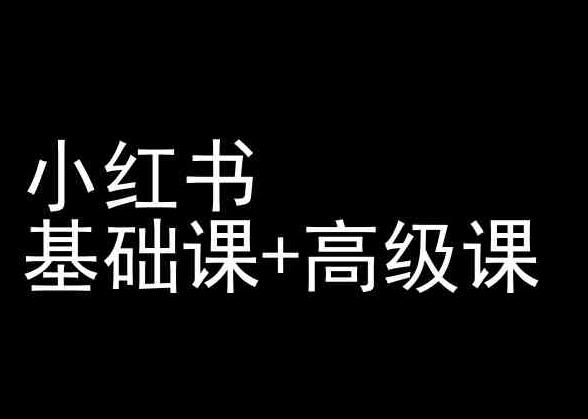 小红书基础课+高级课-小红书运营教程-泱泱学习社