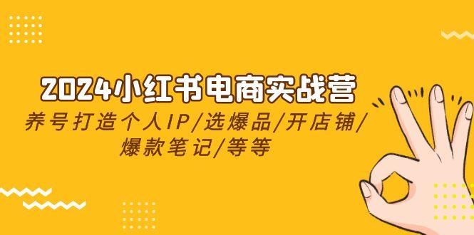 2024小红书电商实战营，养号打造IP/选爆品/开店铺/爆款笔记/等等(24节)-泱泱学习社