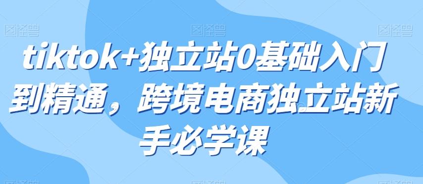 tiktok+独立站0基础入门到精通，跨境电商独立站新手必学课-泱泱学习社