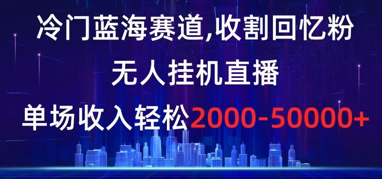 冷门蓝海赛道，收割回忆粉，无人挂机直播，单场收入轻松2000-5w+【揭秘】-泱泱学习社