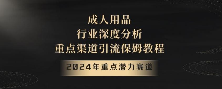 2024年重点潜力赛道，成人用品行业深度分析，重点渠道引流保姆教程【揭秘】-泱泱学习社