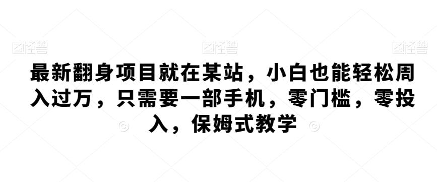 最新翻身项目就在某站，小白也能轻松周入过万，只需要一部手机，零门槛，零投入，保姆式教学-泱泱学习社