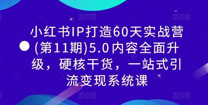 小红书IP打造60天实战营(第11期)5.0​内容全面升级，硬核干货，一站式引流变现系统课-泱泱学习社