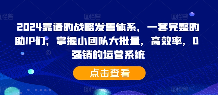 2024靠谱的战略发售体系，一套完整的助IP们，掌握小团队大批量，高效率，0 强销的运营系统-泱泱学习社