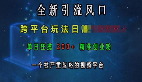 全新引流风口，跨平台玩法日入上k，单日狂揽200+精准创业粉，一个被严重忽略的视频平台-泱泱学习社