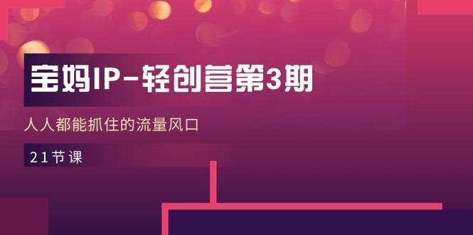 宝妈IP-轻创营第3期，人人都能抓住的流量风口(21节课-泱泱学习社