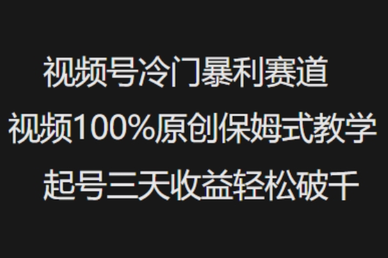 视频号冷门暴利赛道视频100%原创保姆式教学起号三天收益轻松破千-泱泱学习社