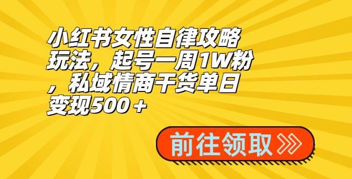 小红书女性自律攻略玩法，起号一周1W粉，私域情商干货单日变现500＋-泱泱学习社