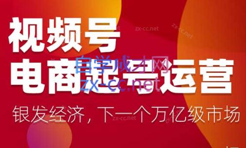 陈大黑牛·视频号电商起号运营课(更新到24年5月)-泱泱学习社