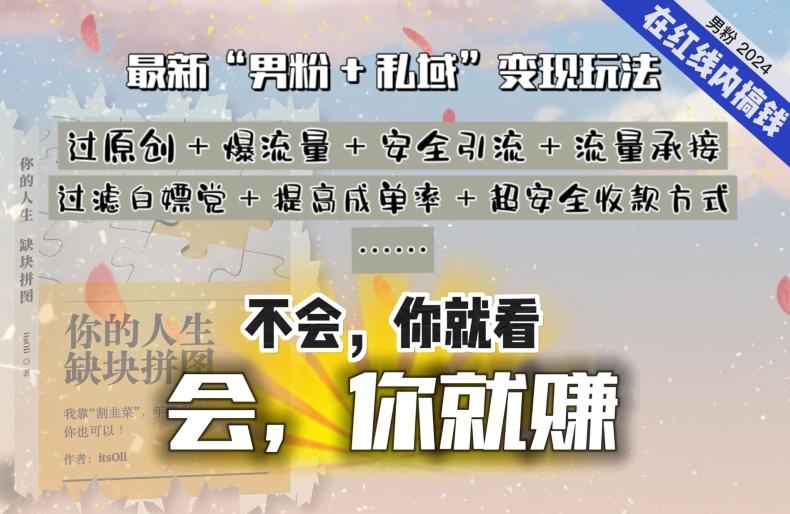 2024，“男粉+私域”还是最耐造、最赚、最轻松、最愉快的变现方式【揭秘】-泱泱学习社